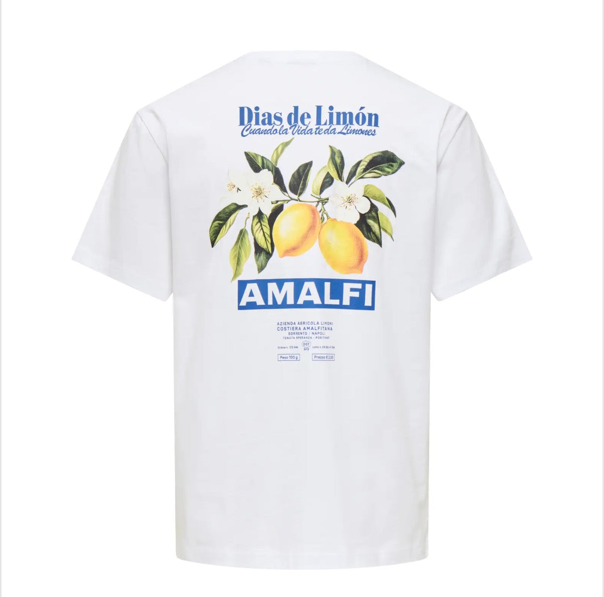 FRED RLX TEE - PRINT BRIGHT WHITE/AMALFI
