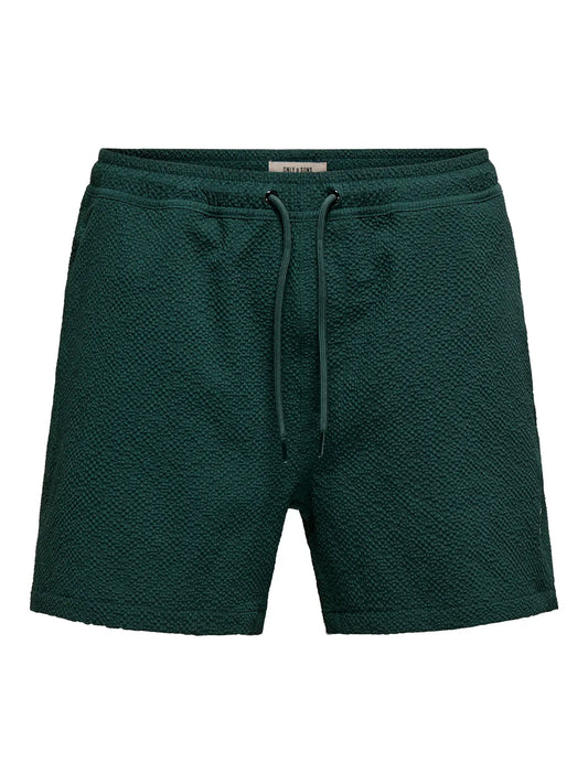 TED SWIMSHORTS DARKEST SPRUCE