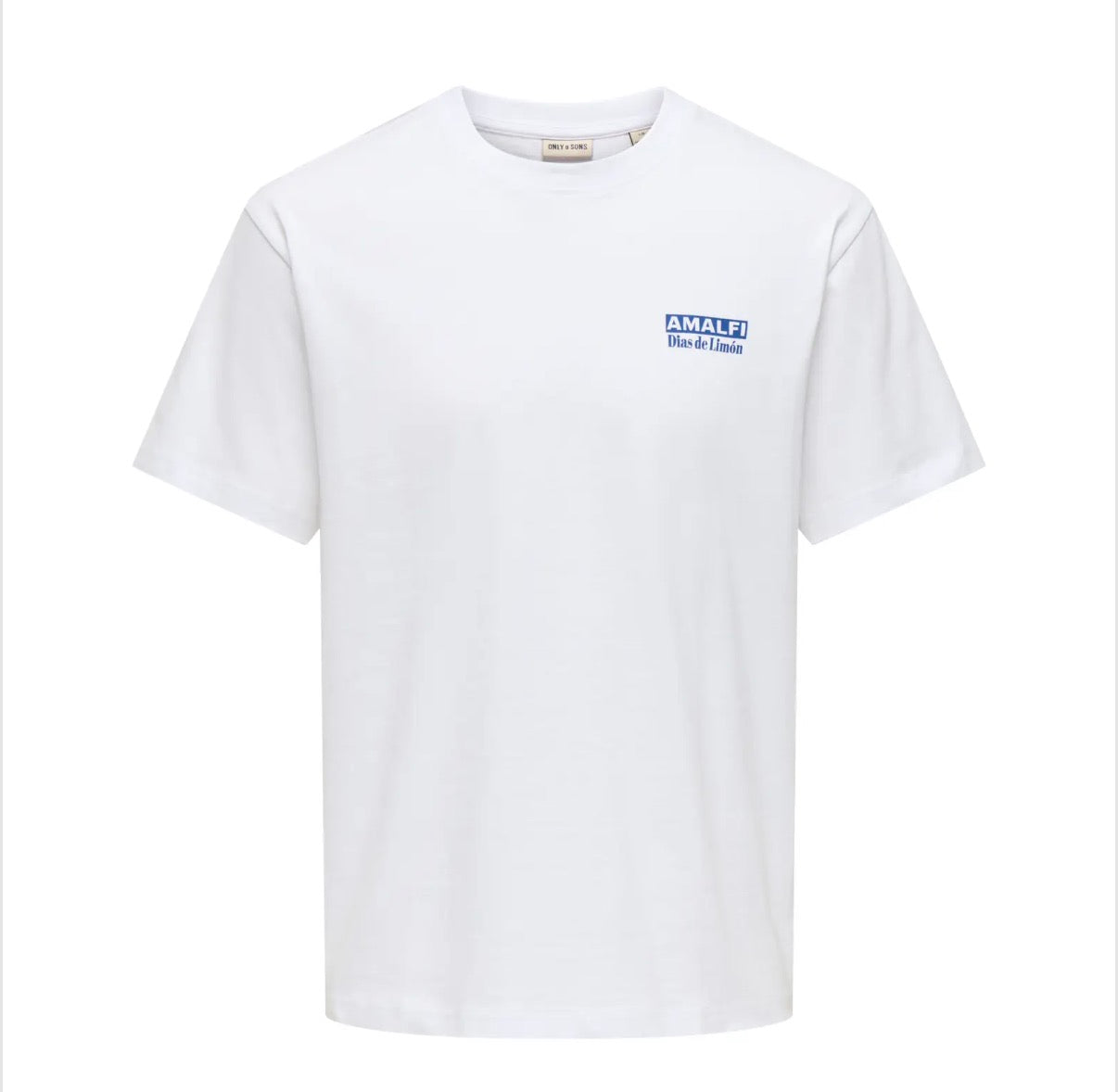 FRED RLX TEE - PRINT BRIGHT WHITE/AMALFI