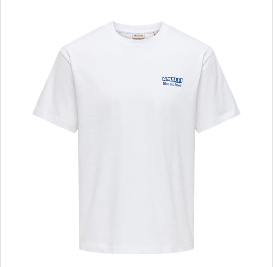 FRED RLX TEE - PRINT BRIGHT WHITE/AMALFI