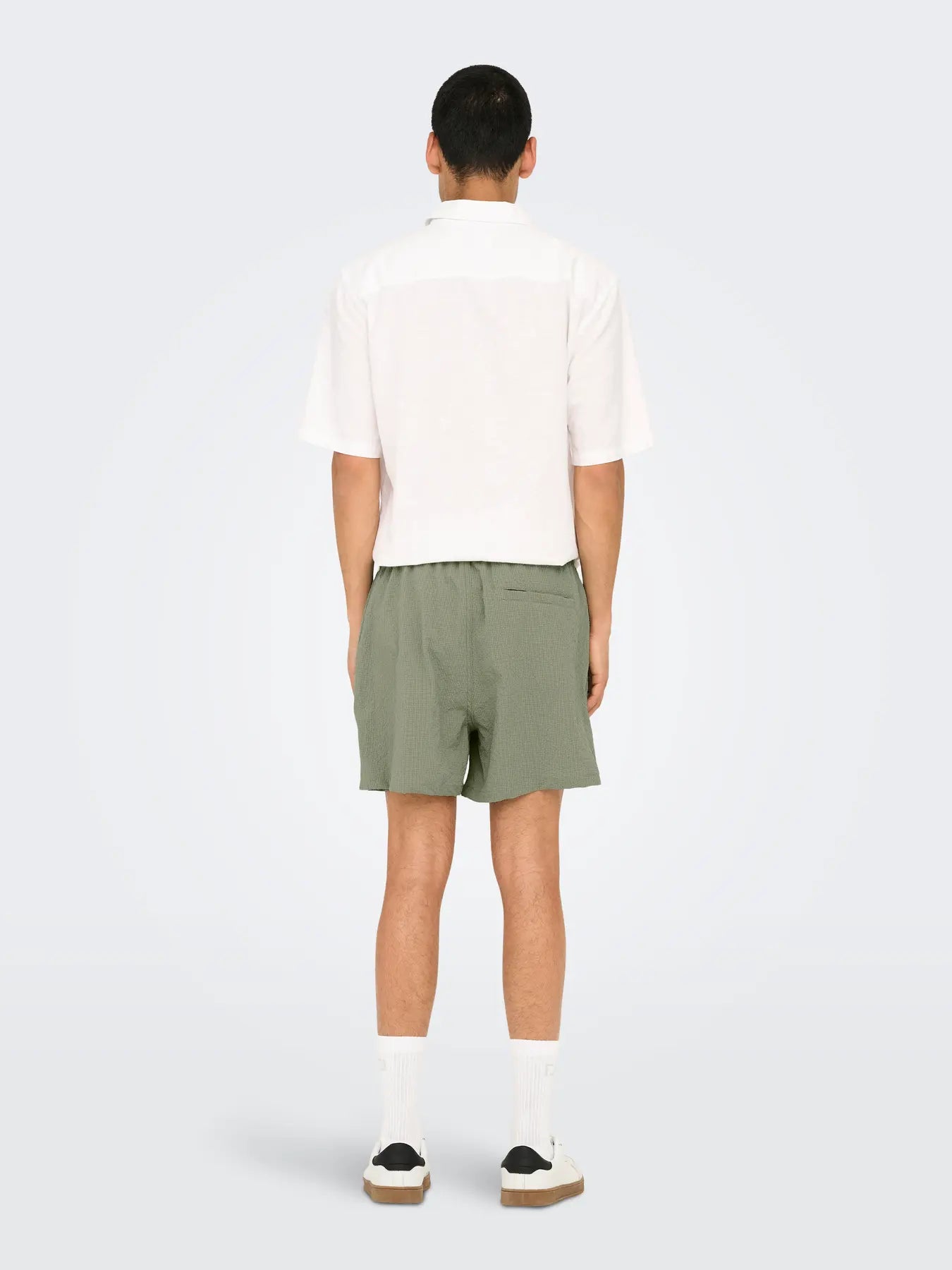 TED SWIMSHORTS SEAGRASS