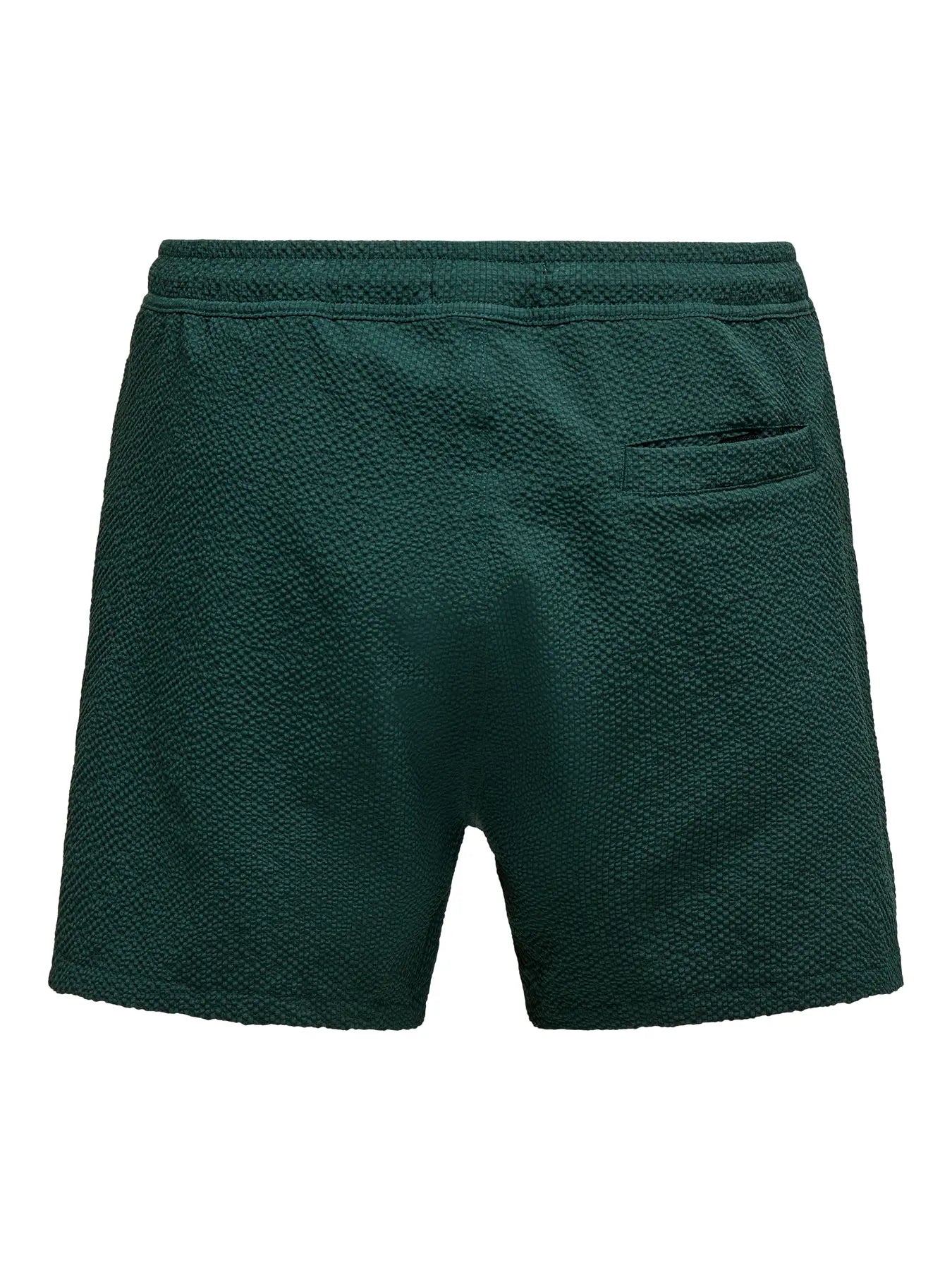 TED SWIMSHORTS DARKEST SPRUCE